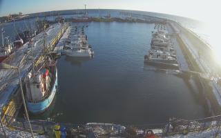 Hel Marina - 01-02-2026 14:07