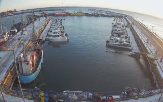 Hel Marina - 01-02-2026 14:49