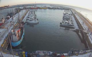 Hel Marina - 01-02-2026 15:10