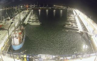 Hel Marina - 02-02-2026 05:29