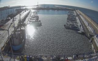 Hel Marina - 02-02-2026 10:03