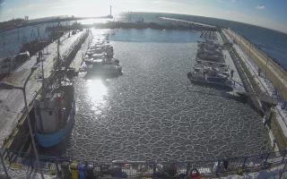 Hel Marina - 02-02-2026 10:10