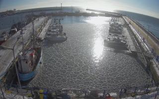 Hel Marina - 02-02-2026 11:42