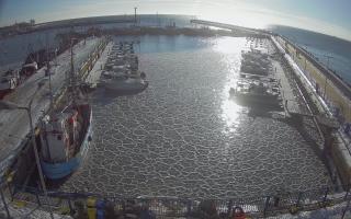 Hel Marina - 02-02-2026 11:56