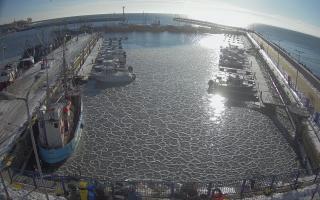 Hel Marina - 02-02-2026 12:03