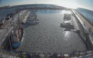 Hel Marina - 02-02-2026 12:17