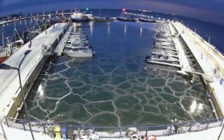 Hel Marina - 17-02-2026 05:29