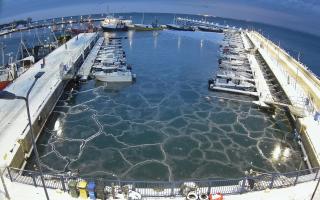 Hel Marina - 17-02-2026 05:36