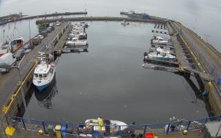 Hel Marina - 17-03-2026 09:03