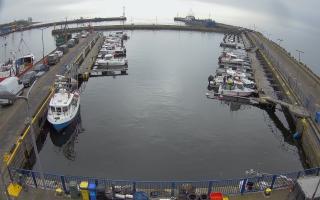 Hel Marina - 17-03-2026 09:59