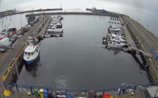 Hel Marina - 17-03-2026 10:06