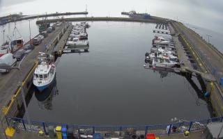 Hel Marina - 17-03-2026 10:20