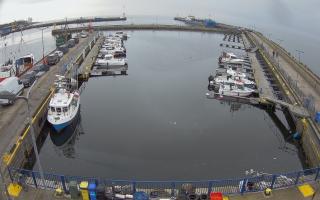 Hel Marina - 17-03-2026 11:17
