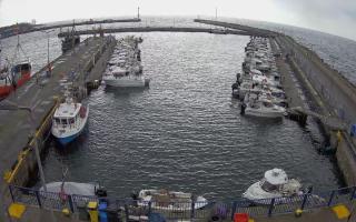 Hel Marina - 04-04-2026 08:42