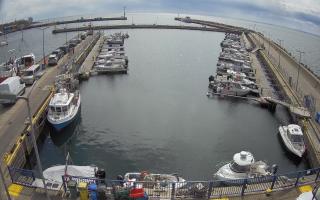 Hel Marina - 28-04-2026 11:03