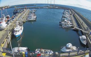 Hel Marina - 28-04-2026 15:02