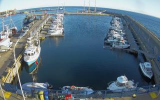 Hel Marina - 28-04-2026 17:02