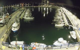 Hel Marina - 28-04-2026 20:54
