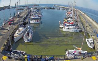 Hel Marina - 28-06-2026 05:43