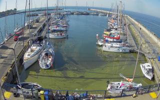 Hel Marina - 28-06-2026 05:57