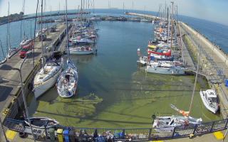 Hel Marina - 28-06-2026 06:18