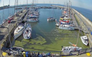 Hel Marina - 28-06-2026 06:25
