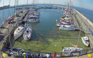 Hel Marina - 28-06-2026 06:32