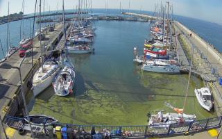 Hel Marina - 28-06-2026 06:47