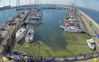 Hel Marina - 28-06-2026 07:01