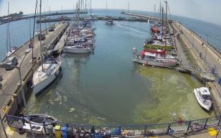 Hel Marina - 28-06-2026 08:39