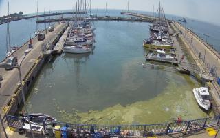 Hel Marina - 28-06-2026 09:00