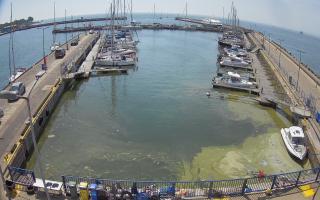 Hel Marina - 28-06-2026 09:35