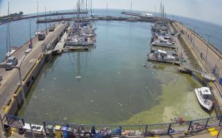 Hel Marina - 28-06-2026 09:42