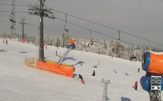 Bania - stok - 01-02-2026 10:18