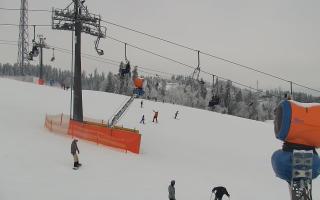 Bania - stok - 01-02-2026 11:19