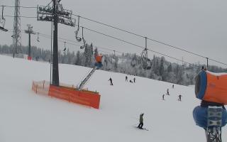 Bania - stok - 01-02-2026 13:46