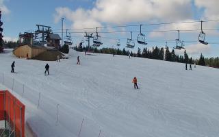 Bania - stok - 21-03-2026 10:04