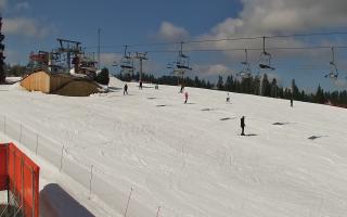 Bania - stok - 21-03-2026 10:12