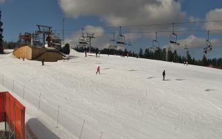 Bania - stok - 21-03-2026 10:28