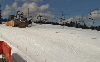 Bania - stok - 21-03-2026 10:35