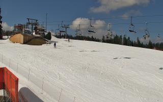 Bania - stok - 21-03-2026 10:51