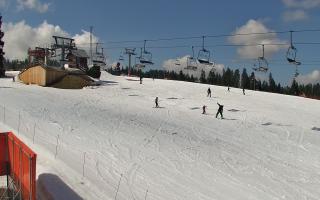 Bania - stok - 21-03-2026 11:29