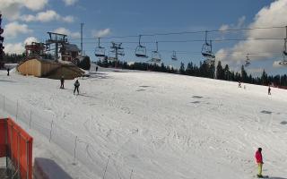 Bania - stok - 21-03-2026 12:08