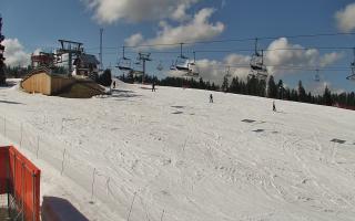 Bania - stok - 21-03-2026 12:23