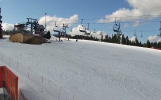 Bania - stok - 21-03-2026 12:31