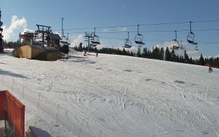 Bania - stok - 21-03-2026 13:17