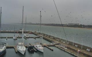 Sopot bosmanat molo #2 - 02-12-2025 13:08