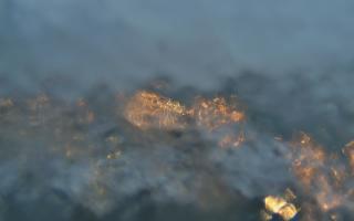 Sopot bosmanat molo #2 - 14-01-2026 15:07