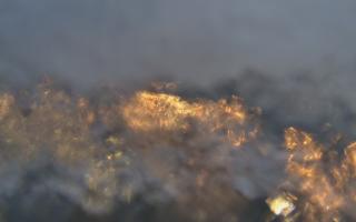 Sopot bosmanat molo #2 - 14-01-2026 15:15