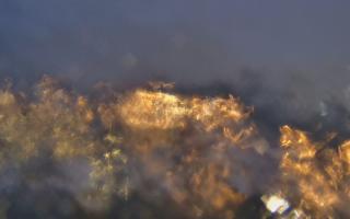 Sopot bosmanat molo #2 - 14-01-2026 15:22